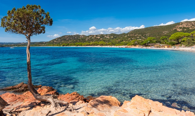 Palombaggia Beach in Corsica